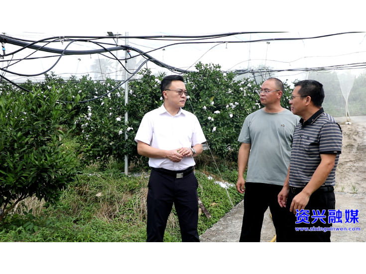 统筹发展与安全 以产业振兴赋能乡村全面振兴
