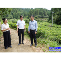 夯实安全根基 发展特色产业 助推乡村全面振兴
