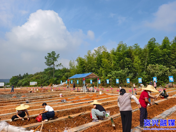 郴州首个共享科普菜园在资兴开园