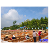 郴州首个共享科普菜园在资兴开园