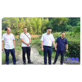 覃志名督导检查溶洞污染排查整治工作