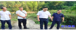 覃志名督导检查溶洞污染排查整治工作