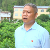 王爱卿：乡村振兴“领路人”