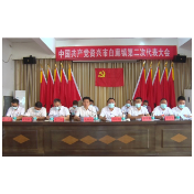 资兴市领导指导乡镇党委换届选举工作