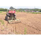 唐洞街道全面掀起耕地抛荒治理热潮