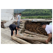 汤溪镇践行“党旗在基层一线高高飘扬” 