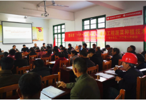 这样的技术培训，我们好理解