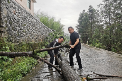 点赞！乡村振兴工作队员冒雨清理路障