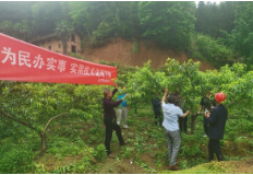 汤溪镇支部农场为群众办实事