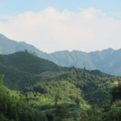 家乡的七宝山