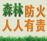秋冬季节，森林防火应注意哪些？