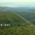 科普动起来 | 森林防火 守护共同家园