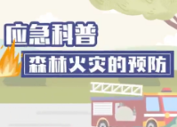 应急科普 | 视频：森林火灾的预防
