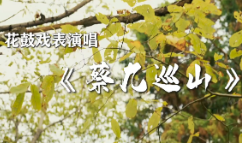 花鼓戏表演唱丨蔡九巡山