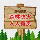 森林防火攻略，请查收~