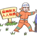 假期出游遭遇森林火灾如何自救？