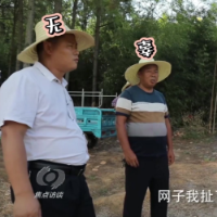 普利桥种粮记·夏管篇丨第四集 地网捉鸟也违法 老雷怒怼村支书