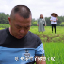 普利桥种粮记·夏管篇丨第五集 种生态田，到底有多难？看了TA们，我明白了～