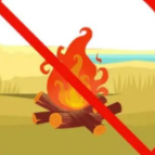 请查收，森林防火安全小知识！