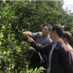 科技特派员“送课下乡”培育农村实用人才