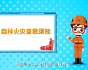 灾害无情生命无常 森林火灾自救须知
