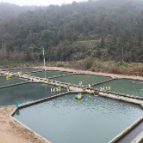 深入学习贯彻党的二十大精神丨我市积极探索渔业高效发展路径