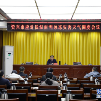 聚焦十大重点工作·风险大防控丨我市召开应对低温雨雪冰冻灾害天气视频调度会