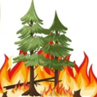 科普 | 图说森林防火安全知识