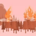 全国消防日来了！这份防火知识手册，人手必备！