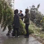 迎战低温雨雪冰冻天气 ▏东江街道排查道路交通隐患保畅通