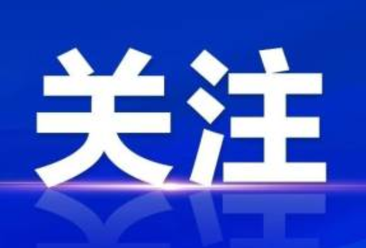 关于进一步强化精准招商的若干意见