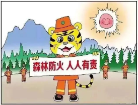 图解！森林防火小知识！