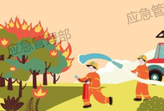 图说：这些森林防火常识需牢记，一起来学习吧！