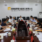 聚焦十大重点工作·项目大会战丨杨理诚调研华润源网荷储项目:确保项目快落地、快推进、快见效