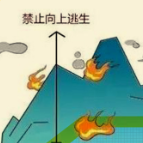 应急科普｜图说：遇到森林火灾怎么办？