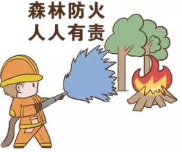  预防森林火险 这些知识你都要知道 →