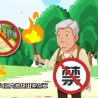 科普视频|森林防火，人人有责！