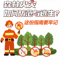 图解|森林火灾如何防范与逃生？这份指南要牢记
