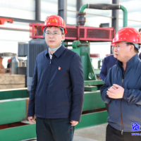 杨理诚：全面推动项目建设提速增效 全力服务企业复工复产