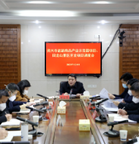 当好主力军 办好旅发会丨我市调度旅游商品产业示范园项目、回龙山景区开发项目建设