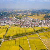 2023年中央一号文件说了啥？要点速览来了！