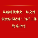 第一观察丨从新时代中央一号文件领会总书记对“三农”工作战略指引