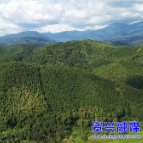 新春走基层 ▏家乡家“香”（四）：产业振兴“香”