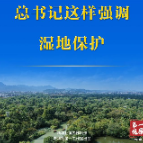 第一观察丨人与自然和谐共生，总书记这样强调湿地保护