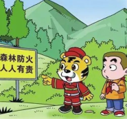 森林防火指南Get√起来