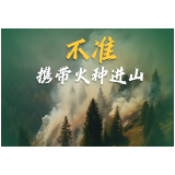煮碗面的“代价”是471万余元！五起典型案例公布