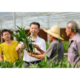 学习新语｜致敬！总书记点赞过的优秀党员