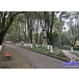 迎来强冷空气  温度将降8-10℃