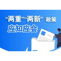 “两重”“两新”应知应会：能源重点领域大规模设备更新实施方案