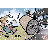 引以为戒！违规占用耕地典型案例